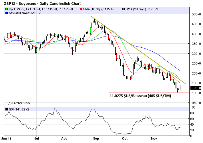 Soy tech MT 29 nov 11